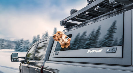 rsi smartcap evo sport canopy with dog