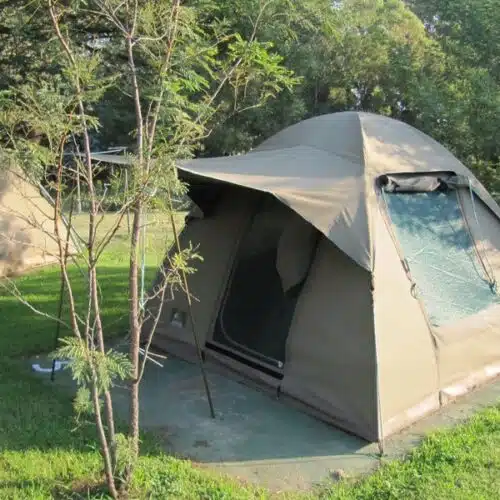 Tentco Junior Safari Deluxe Bow Tent